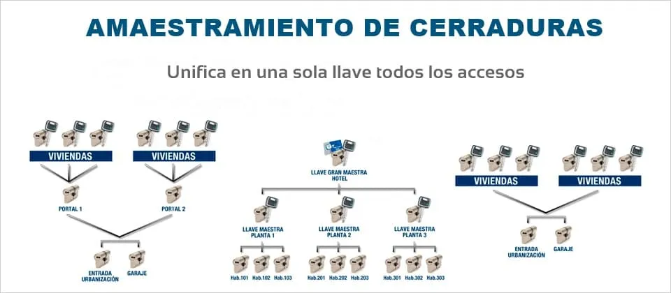 igualamiento y amaestramiento