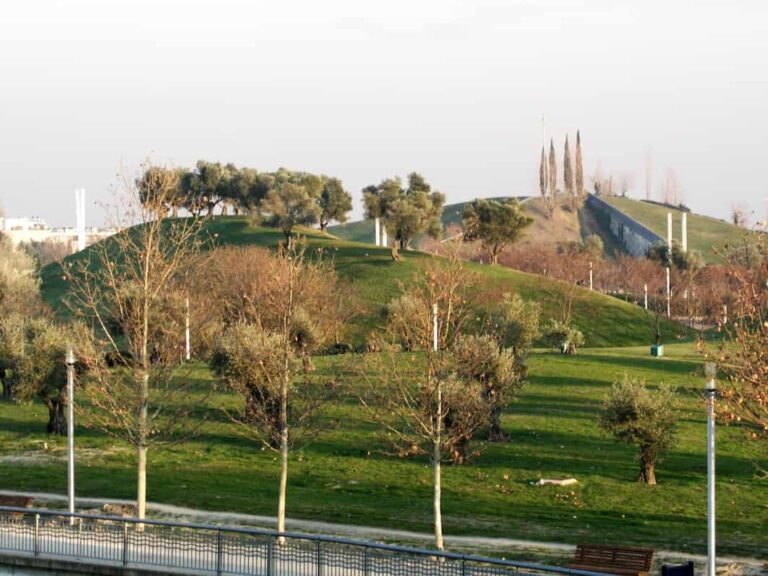 corralejos cerrajeria